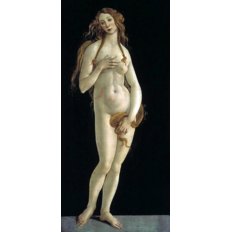 фото: картина в алмазной технике, Венера Художник Sandro Botticelli