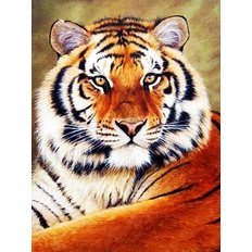 фото: картина для рисования по номерам, Величественный тигр
