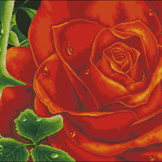 фото: картина для вышивки бисером или нитками, Розы