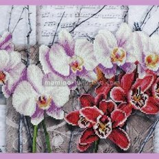 Набор для вышивки Симфония орхидей
