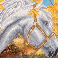 Схема для вышивки бисером Белая лошадь