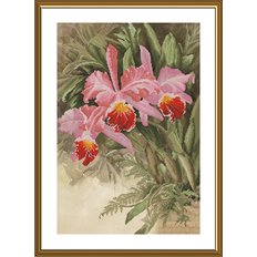 фото: картина для вышивки крестом, Тропическая орхидея