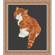 фото: картина, вышитая крестиком, Милашка кот