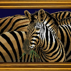 фото: картина для вышивки бисером Удивительные зебры