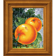 фото: картина для вышивки бисером Сочные апельсины