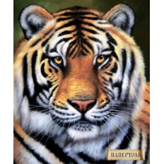 Набор папертоль Тигр