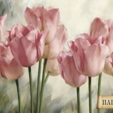 Набор папертоль Нежность тюльпанов