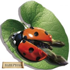 Набор папертоль Божья коровка