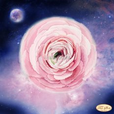 Схема для вышивки бисером Ранункулюс Схема для вышивки бисером Ранункулюс