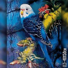 фото: картина в алмазной технике Голубой попугай