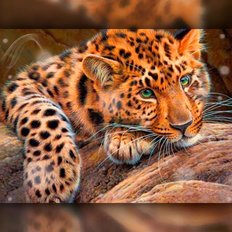 фото: картина в алмазной технике Милый леопард