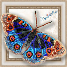 Бабочки (вышивка на одежде)