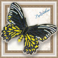 Набор для вышивания бисером на пластиковой канве Бабочка Золотая Птицекрылка Радамант
