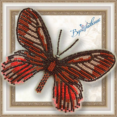 Набор для вышивания бисером на пластиковой канве Бабочка Eurytides Ariarathes Gayi