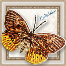 Набор для вышивания бисером на пластиковой канве Бабочка Eurybia Juturna