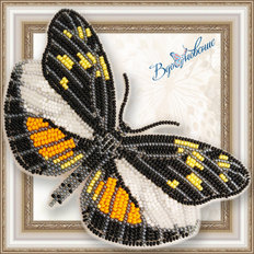 Набор для вышивания бисером на пластиковой канве Бабочка DISMORPHIA EUNOE DESINE