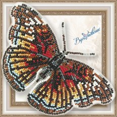 фото: Бабочка Euryphura Сhalcis, вышитая бисером на прозрачной основе
