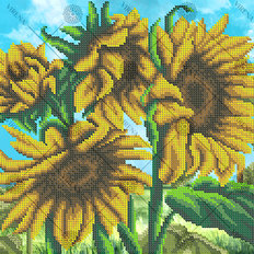 фото: схема для вышивки бисером Подсолнухи